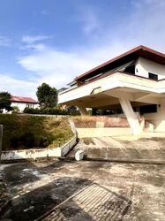 Leedon Park (D10), Detached #619483891